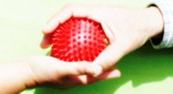 Patienten Training Igelball